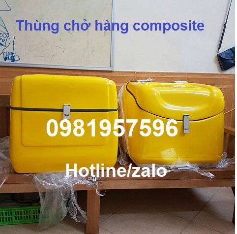 Thùng chở  sau xe máy, Thùng chở hàng composite giá rẻ tại Hà Nội